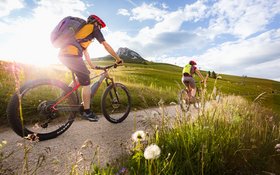 Green Luxury Hotel Pfösl