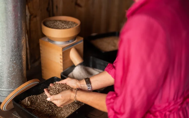 Hotel per vegani in Trentino-Alto Adige? Belvita!