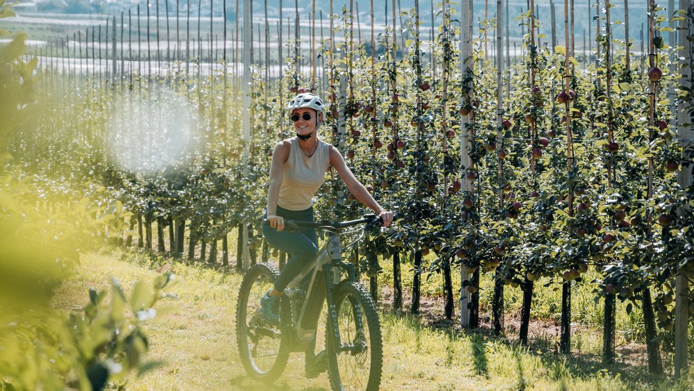 Impressions from a world of ease