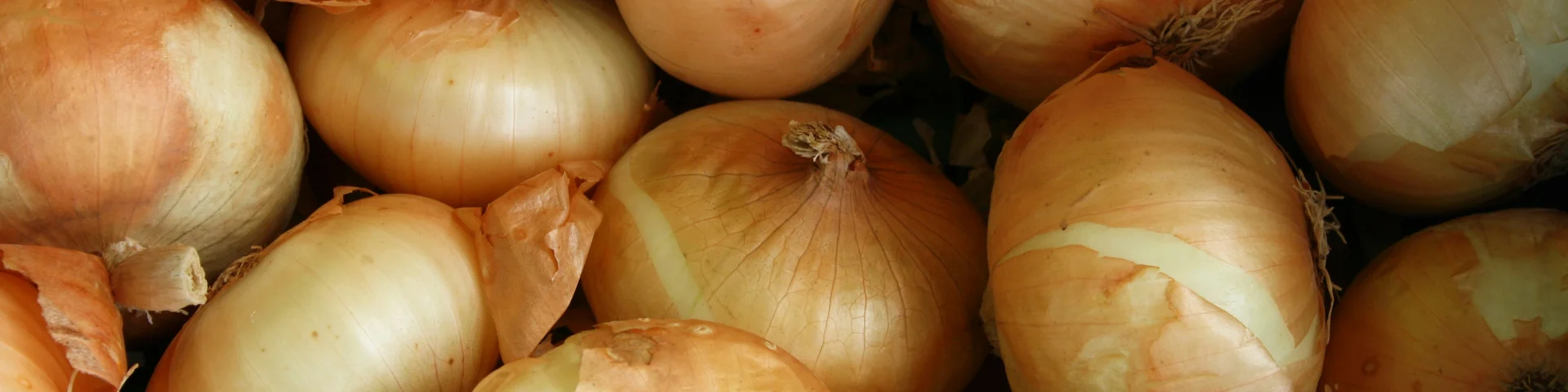 Zuppa di cipolle dell’Alto Adige