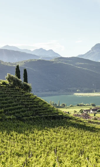 Belvita: le aree vacanza per il vostro soggiorno wellness Belvita: le aree vacanza per il vostro soggiorno wellness