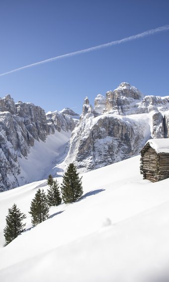 Belvita: the holiday regions for your wellness stay