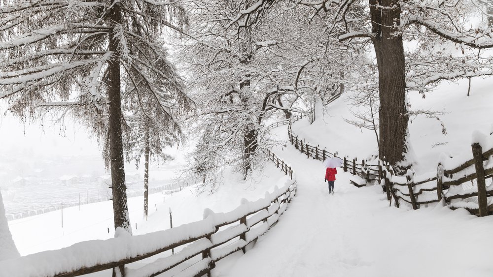 Immagini che parlano di leggerezza e spensieratezza Immagini che parlano di leggerezza e spensieratezza